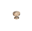 Picture of 1-3/8" Champagne Gold Knob