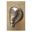 Picture of 1-3/4" Mare Horse II Facing Left Knob